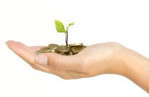 Nurturing growth and financial sustainability for charities through strategic partnerships and funding support. An illustrated hand gently supporting a growing plant with coins at its base, symbolising charitable growth, sustainability, and the positive impact of funding partnerships.